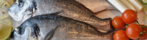 Fisch santo.shop