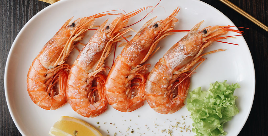Essen-3 Shrimps