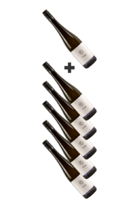 Wein----5+1 GRATIS Grüner Veltliner Der Leichte