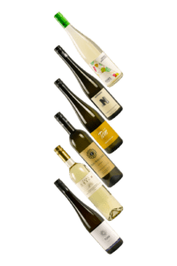 Wein----6 unter 60 Weißwein Probierpaket