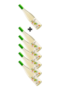 Wein-WeißweineAllgemein Weisswein---5+1 GRATIS Grüner Veltliner Grünello