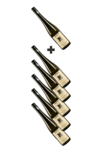 Wein-WeißweineAllgemein Weisswein---5+1 GRATIS Spitzer Sauvignon Blanc Federspiel