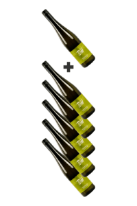 Wein-WeißweineAllgemein Weisswein---5+1 GRATIS TOM Grüner Veltliner Traisental DAC