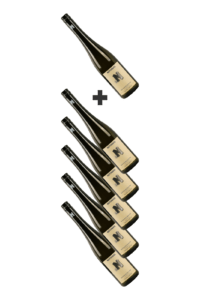 Wein-WeißweineAllgemein Weisswein---5+1 GRATIS Wachauer Riesling Federspiel