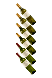 Probierpaket von Weingut Irmi Stich - 6 Flaschen