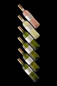 Probierpaket von Weingut Irmi Stich - 6 Flaschen